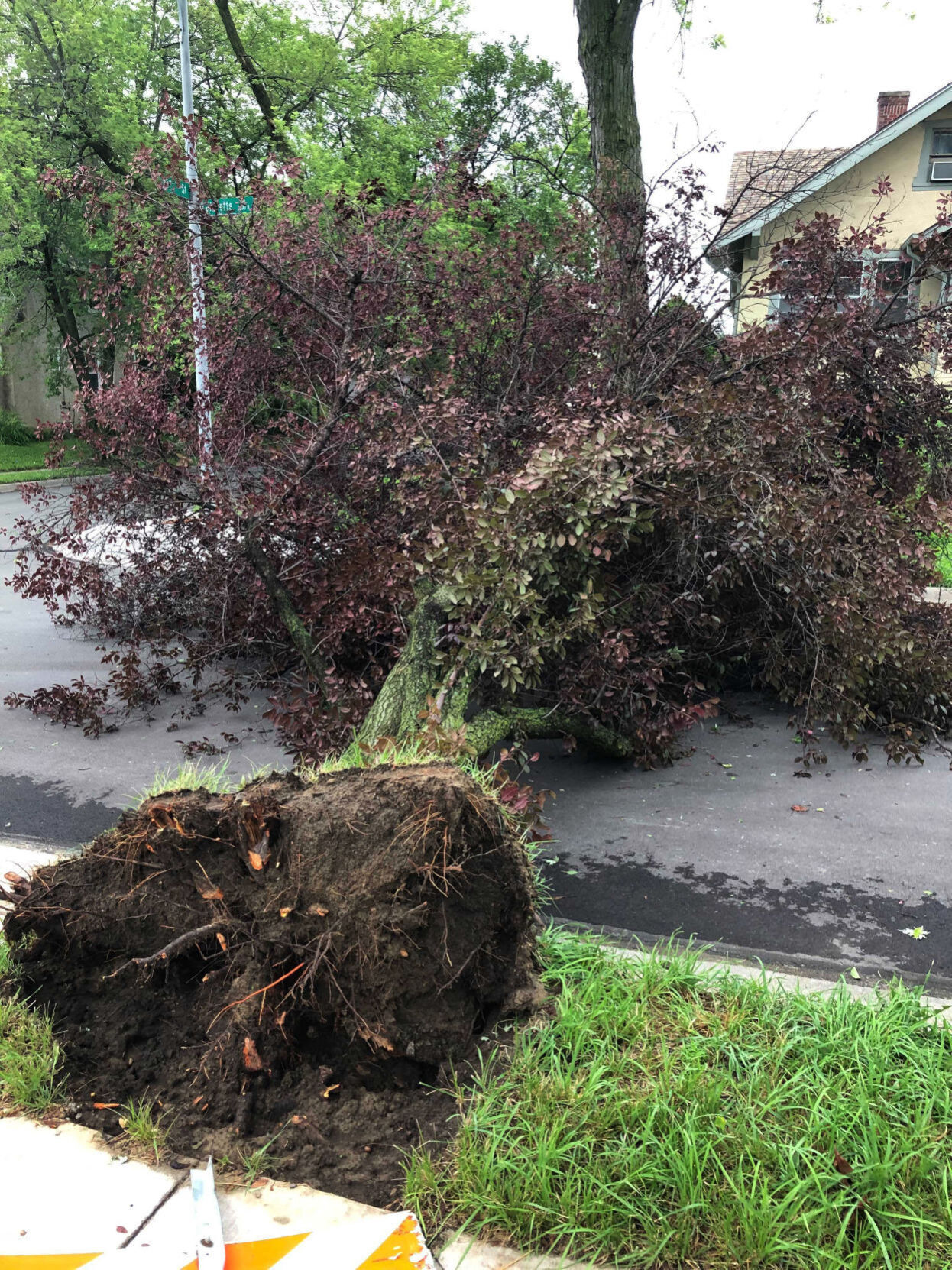 071121-owh-new-stormdamage-pic-AR004.jpg